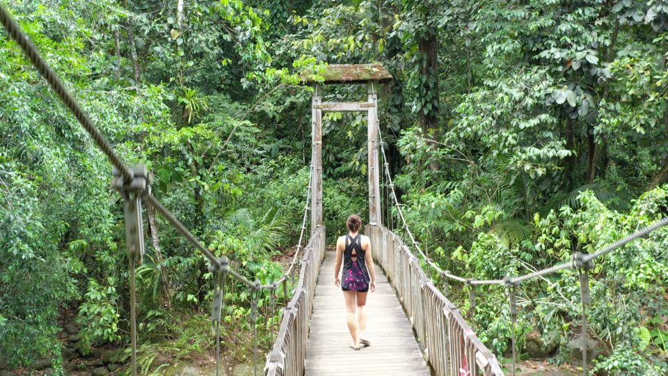 Maison de la forêt Maison de la forêt