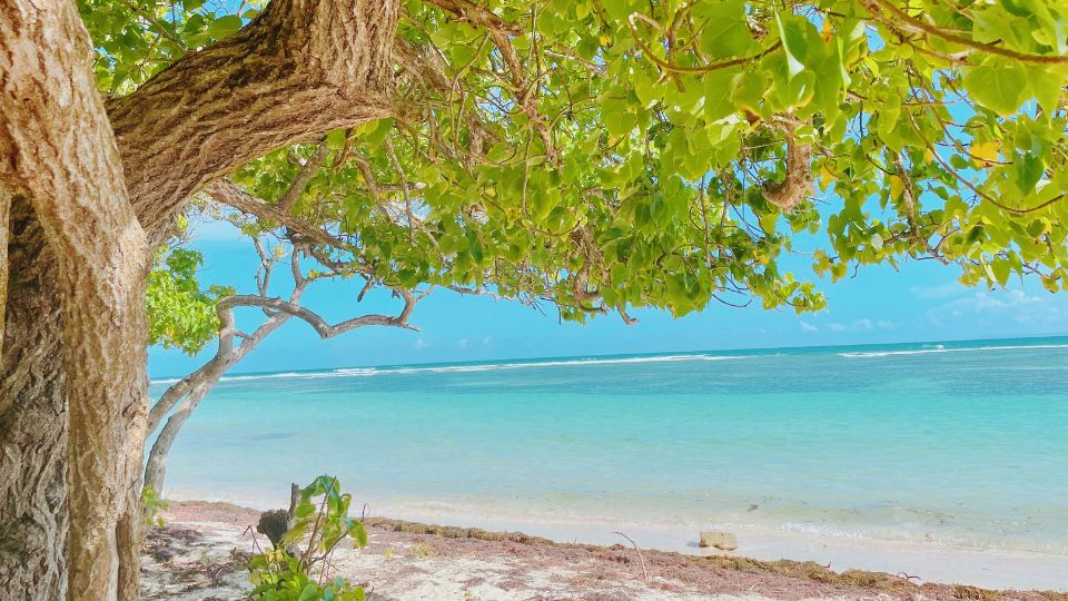 Plage de Bois-Jolan Plage de Bois-Jolan